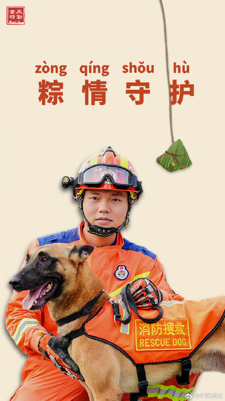 搜救犬端午限定粽系写真 搜救犬端午限定粽系写真