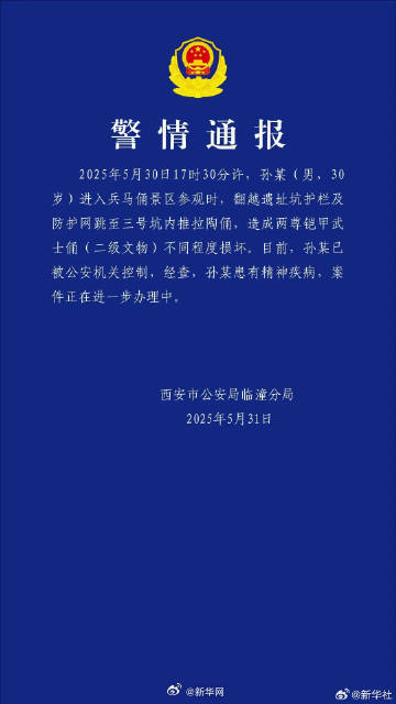 男子跳进兵马俑坑造成两尊铠甲武士俑损坏 男子跳进兵马俑坑造成两尊铠甲武士俑损坏
