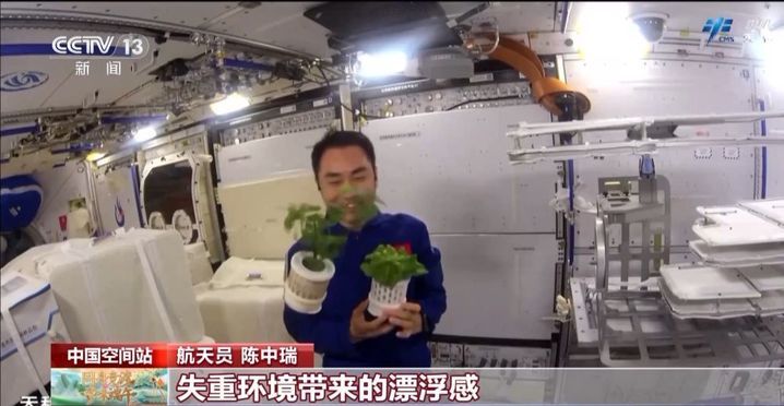 做实验、搞锻炼……神二十乘组这样过端午 做实验、搞锻炼……神二十乘组这样过端午