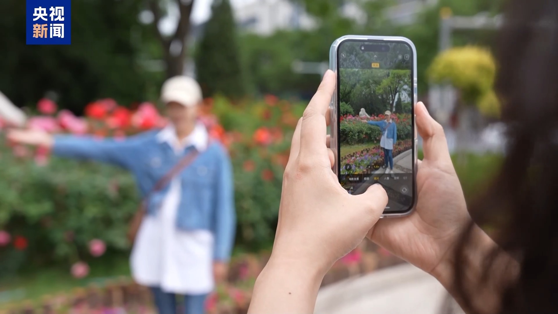 城市的浪漫藏不住了!这个夏天祝你一路生花 城市的浪漫藏不住了!这个夏天祝你一路生花