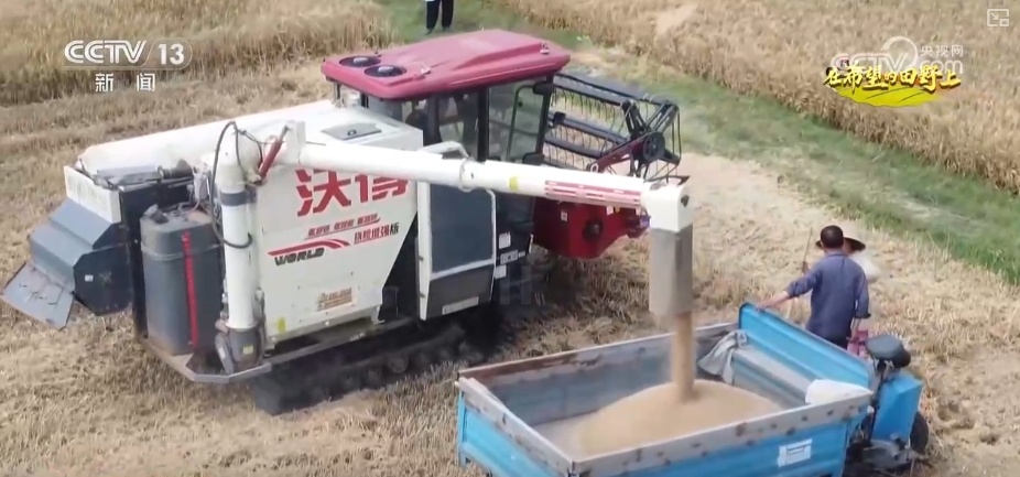 “小麦地图”“临时帮工队”……暖心服务吸引农机手慕名而来“远方的家” “小麦地图”“临时帮工队”……暖心服务吸引农机手慕名而来“远方的家”