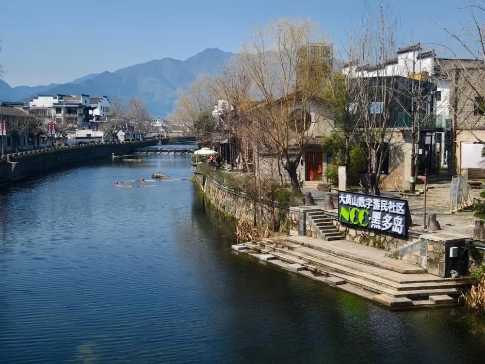 数字游民：“边休闲边挣钱”的梦想能否照进现实？