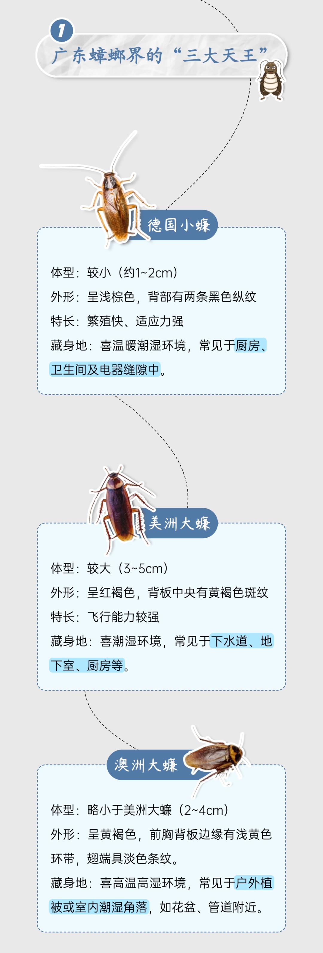 “蟑螂咬人”冲上热搜！广东人：不会吧？