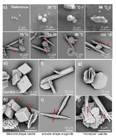 长期自己烧水喝VS经常买桶装水喝,谁更健康? 长期自己烧水喝VS经常买桶装水喝,谁更健康?