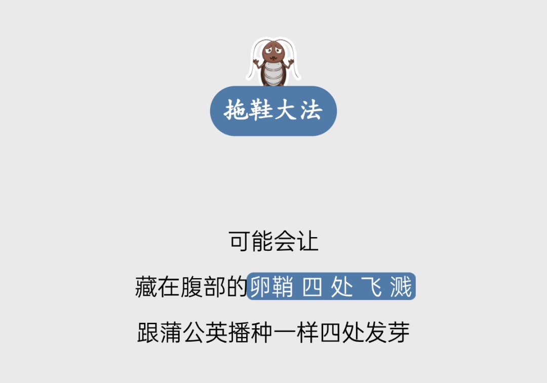 “蟑螂咬人”冲上热搜！广东人：不会吧？