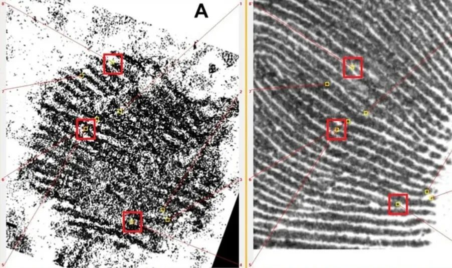 4.3万年前古人类用颜料留下指纹,西班牙研究团队揭开身份之谜 4.3万年前古人类用颜料留下指纹,西班牙研究团队揭开身份之谜