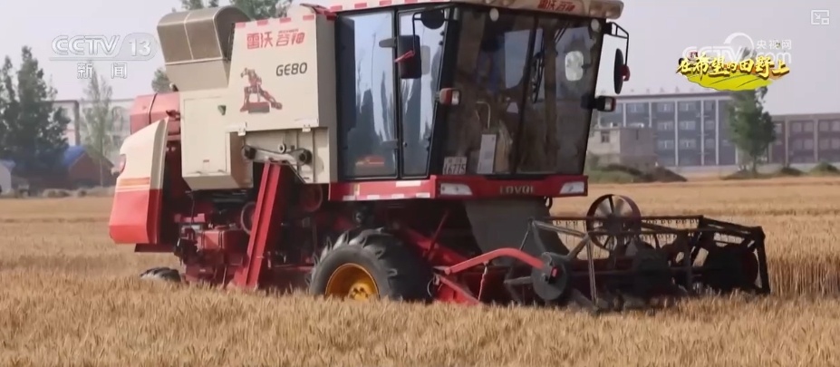 “小麦地图”“临时帮工队”……暖心服务吸引农机手慕名而来“远方的家” “小麦地图”“临时帮工队”……暖心服务吸引农机手慕名而来“远方的家”