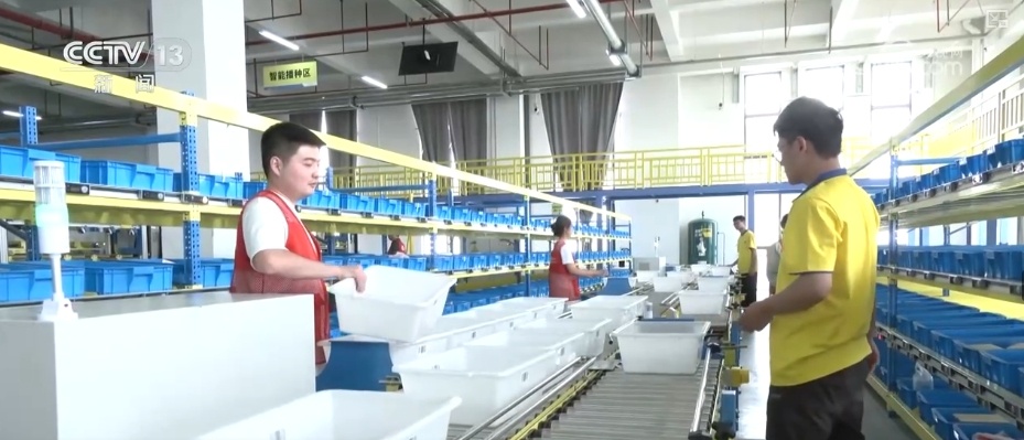 快递包裹“轻装上阵” 中转环节循环包装实现全覆盖 快递包裹“轻装上阵” 中转环节循环包装实现全覆盖