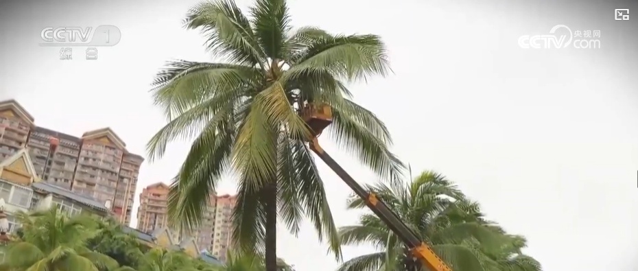 一路生花 城市空间的“花花世界”:云南的“新花样” 一路生花 城市空间的“花花世界”:云南的“新花样”