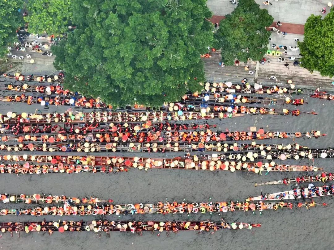 广州市中心“堵船”了!猎德村上演十年最大规模招景,150多条龙船穿越CBD,比过年还热闹 广州市中心“堵船”了!猎德村上演十年最大规模招景,150多条龙船穿越CBD,比过年还热闹