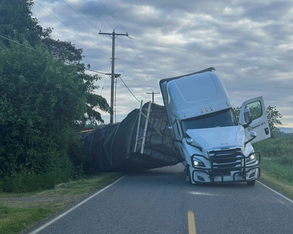 美国载有2.5亿只蜜蜂卡车翻车，靠近加拿大，专家到场惊呆了