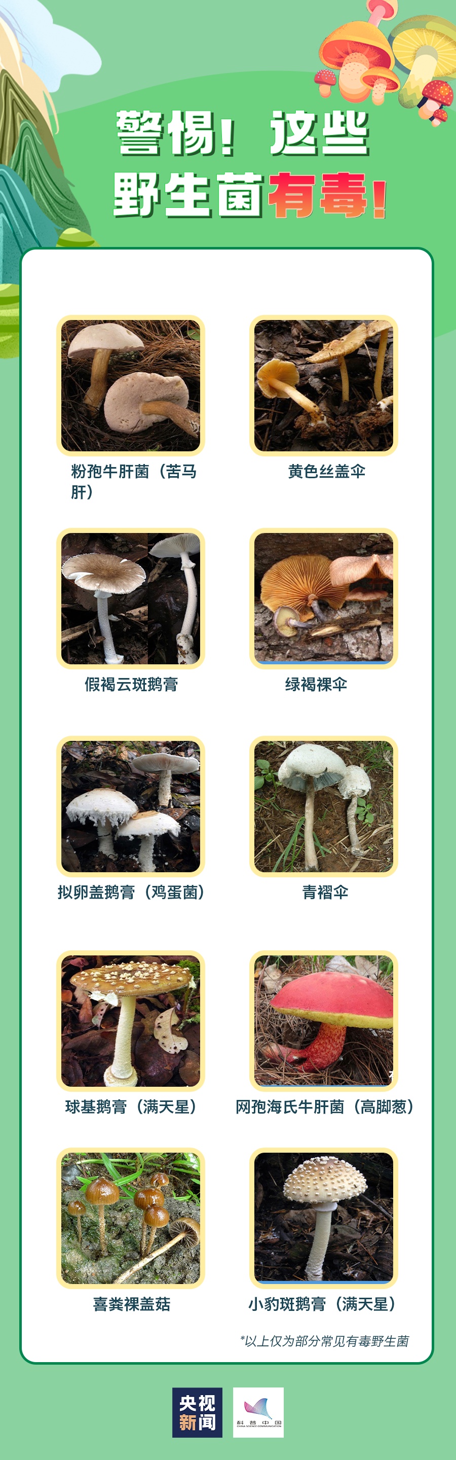 一碗下肚,女子被送进ICU!这事每年都有发生… 一碗下肚,女子被送进ICU!这事每年都有发生…