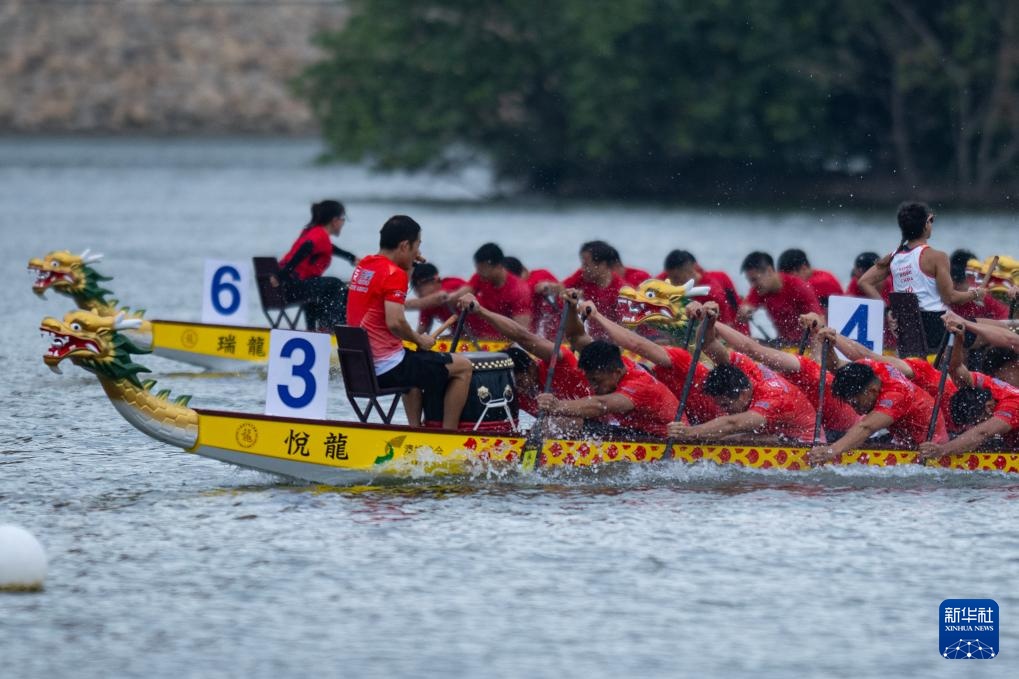 2025澳门国际龙舟赛落幕 2025澳门国际龙舟赛落幕