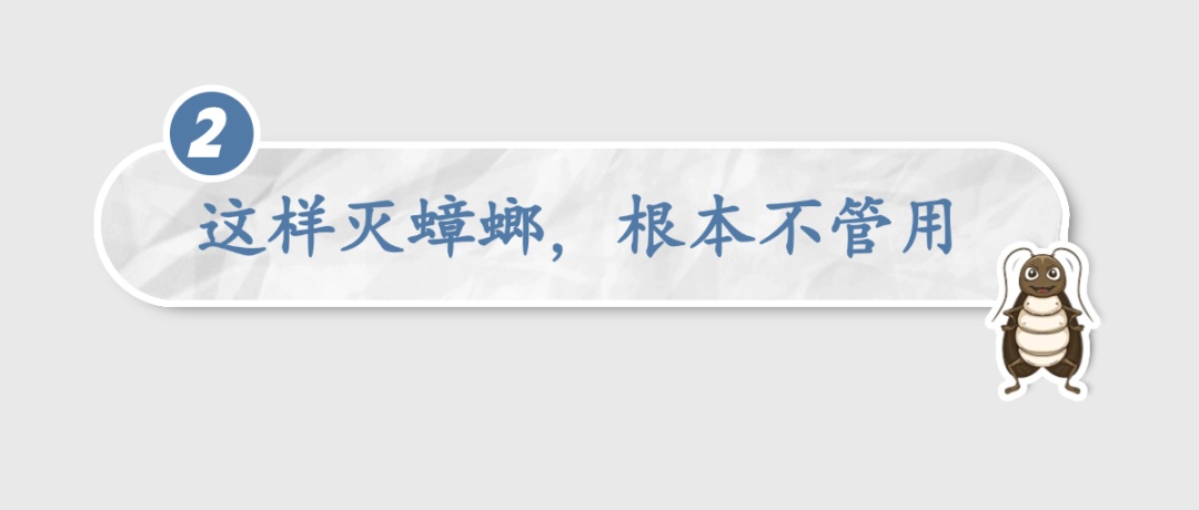 “蟑螂咬人”冲上热搜！广东人：不会吧？