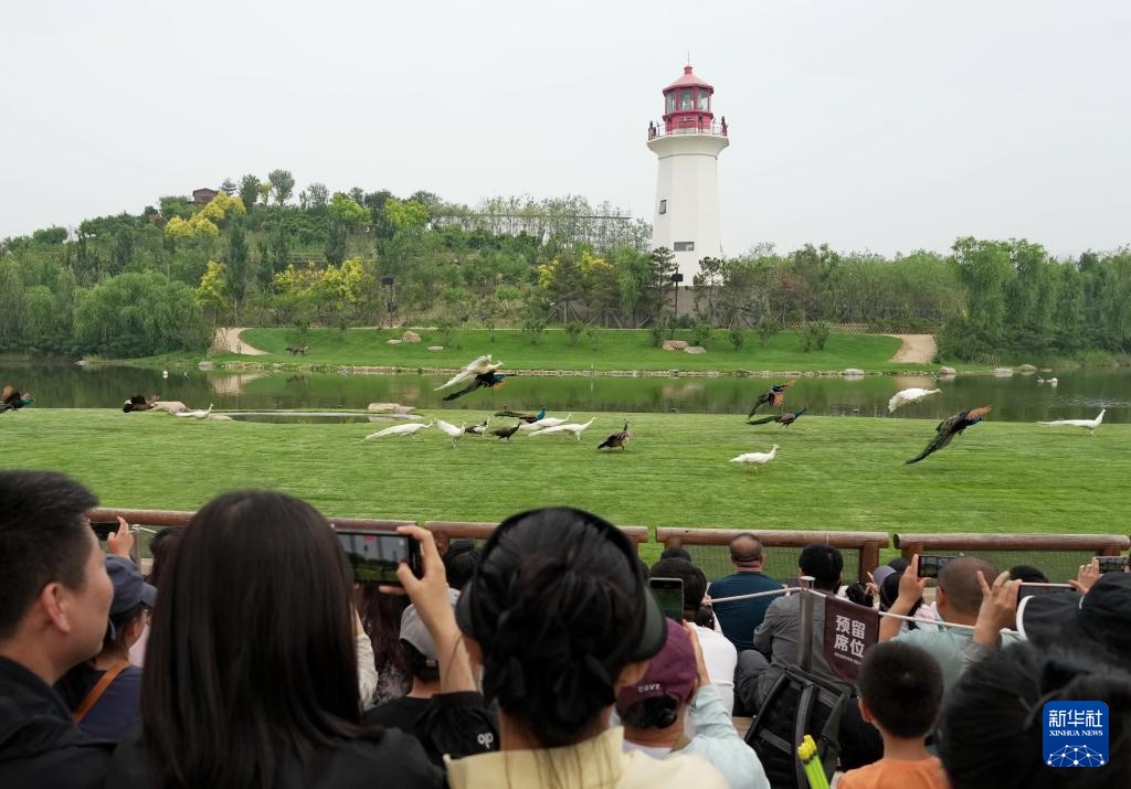 河北秦皇岛：文旅新业态激发新活力