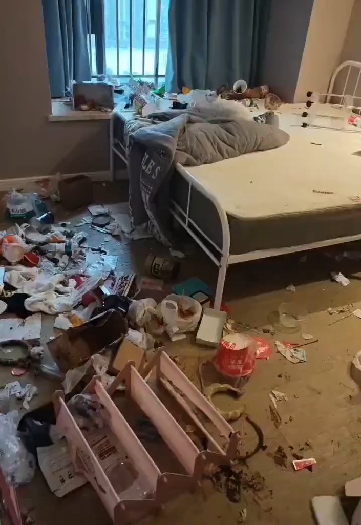 傻眼了!租客失联后留下满屋垃圾和一只兔子,管家收房惊呆:没有下脚的地方 傻眼了!租客失联后留下满屋垃圾和一只兔子,管家收房惊呆:没有下脚的地方