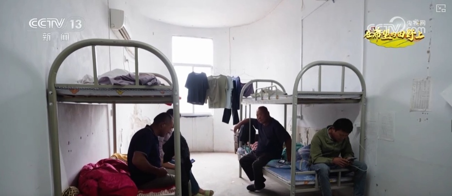 “小麦地图”“临时帮工队”……暖心服务吸引农机手慕名而来“远方的家” “小麦地图”“临时帮工队”……暖心服务吸引农机手慕名而来“远方的家”