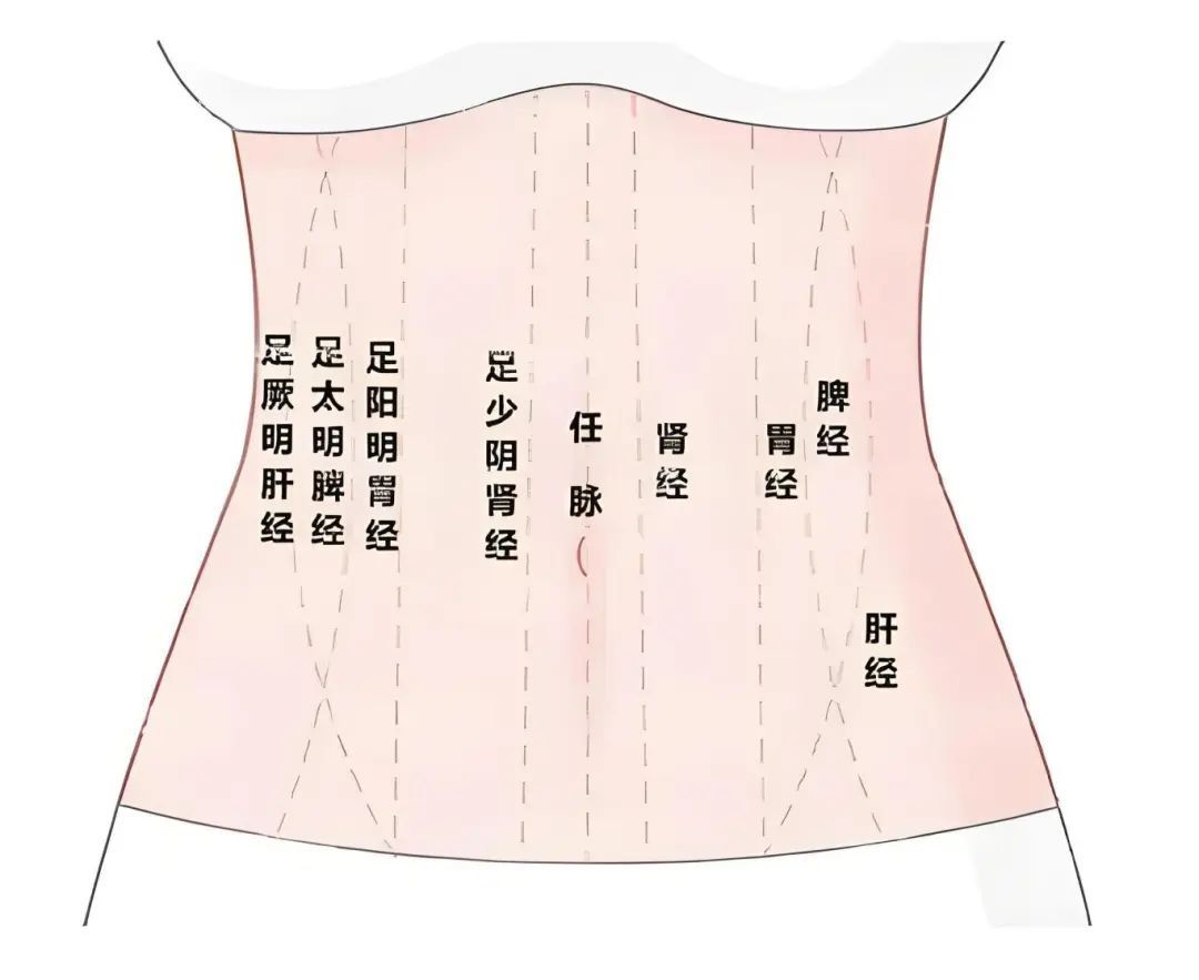 早晚推腹5分钟，赶走“亚健康”和慢性病