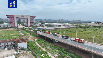 20多吨越南冷冻榴莲来了 广西口岸首次签收越南冷冻榴莲 20多吨越南冷冻榴莲来了 广西口岸首次签收越南冷冻榴莲