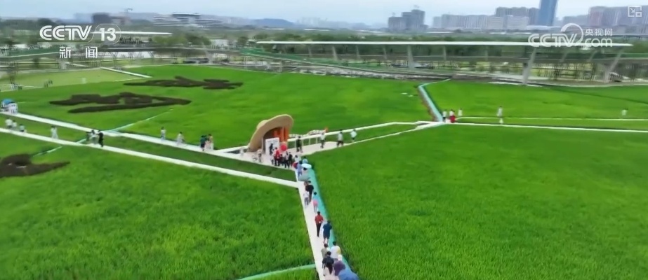 端午邂逅新玩法 “粽情喜乐”“一夹即粽”欢乐多指尖传承端午情 端午邂逅新玩法 “粽情喜乐”“一夹即粽”欢乐多指尖传承端午情