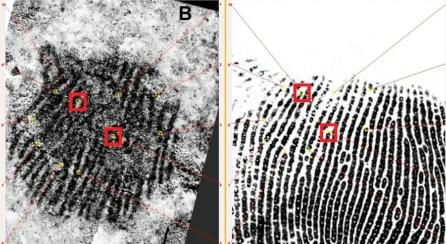4.3万年前古人类用颜料留下指纹,西班牙研究团队揭开身份之谜 4.3万年前古人类用颜料留下指纹,西班牙研究团队揭开身份之谜