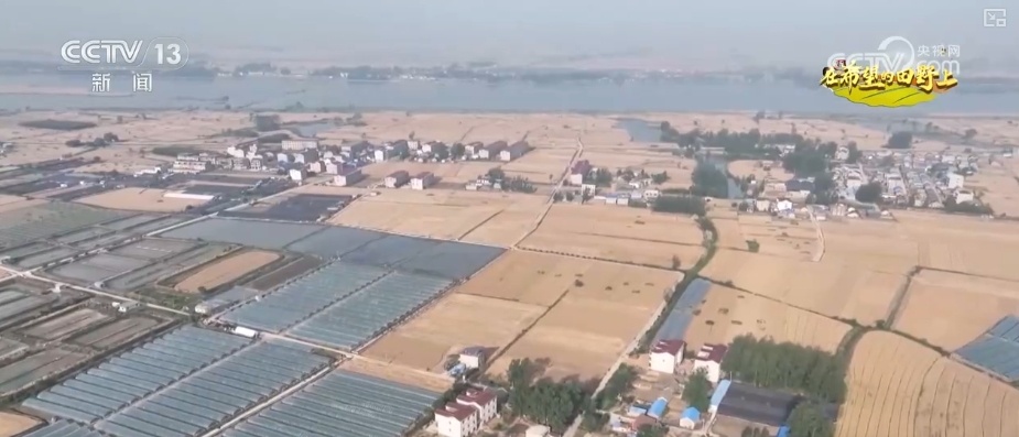 “小麦地图”“临时帮工队”……暖心服务吸引农机手慕名而来“远方的家” “小麦地图”“临时帮工队”……暖心服务吸引农机手慕名而来“远方的家”