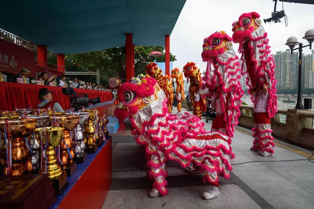 百龙竞渡耀珠江!广州这项赛事,超十万人次现场观赛 百龙竞渡耀珠江!广州这项赛事,超十万人次现场观赛