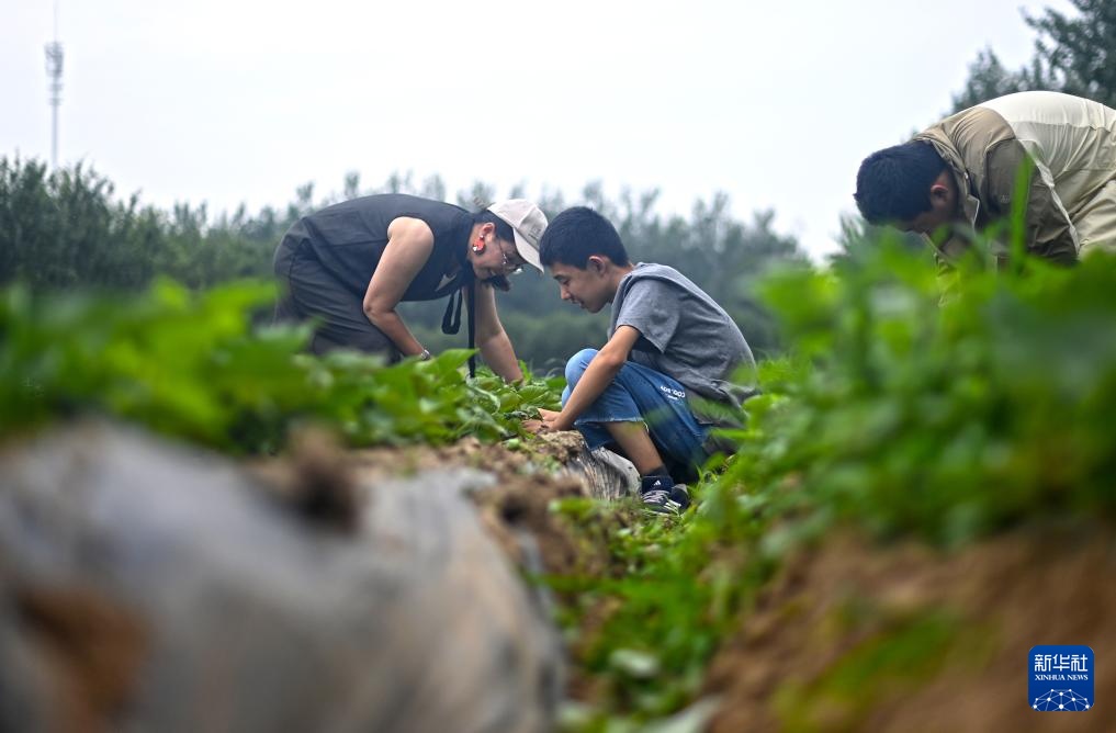 汇爱农庄里的“童心愿” 汇爱农庄里的“童心愿”