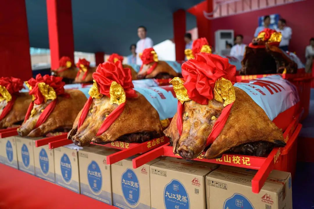 百龙竞渡耀珠江!广州这项赛事,超十万人次现场观赛 百龙竞渡耀珠江!广州这项赛事,超十万人次现场观赛