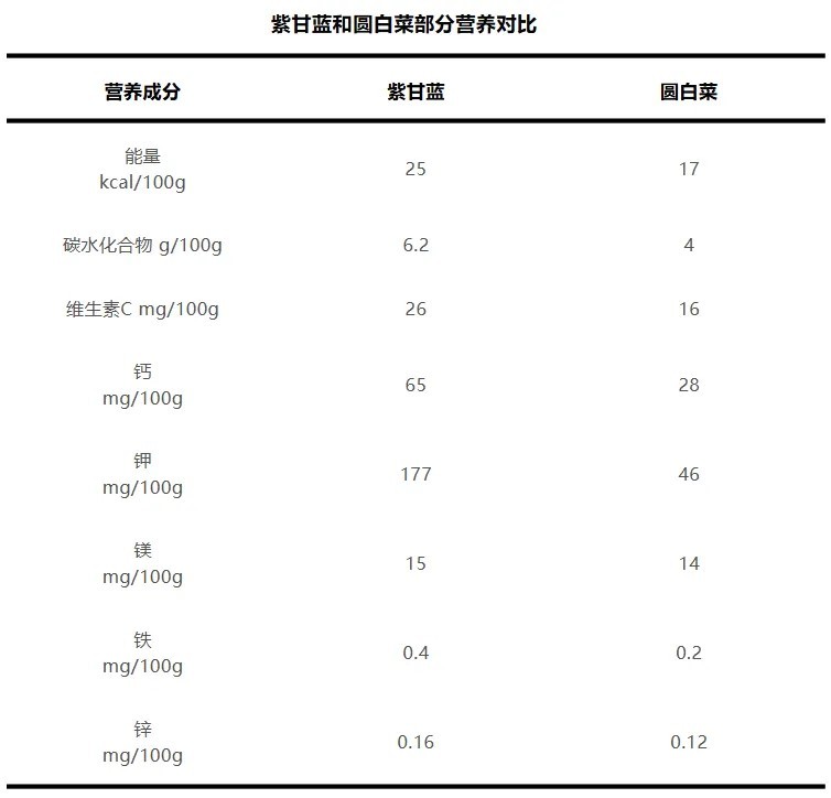 这种蔬菜花青素含量比蓝莓还高！夏天凉拌吃营养又美味