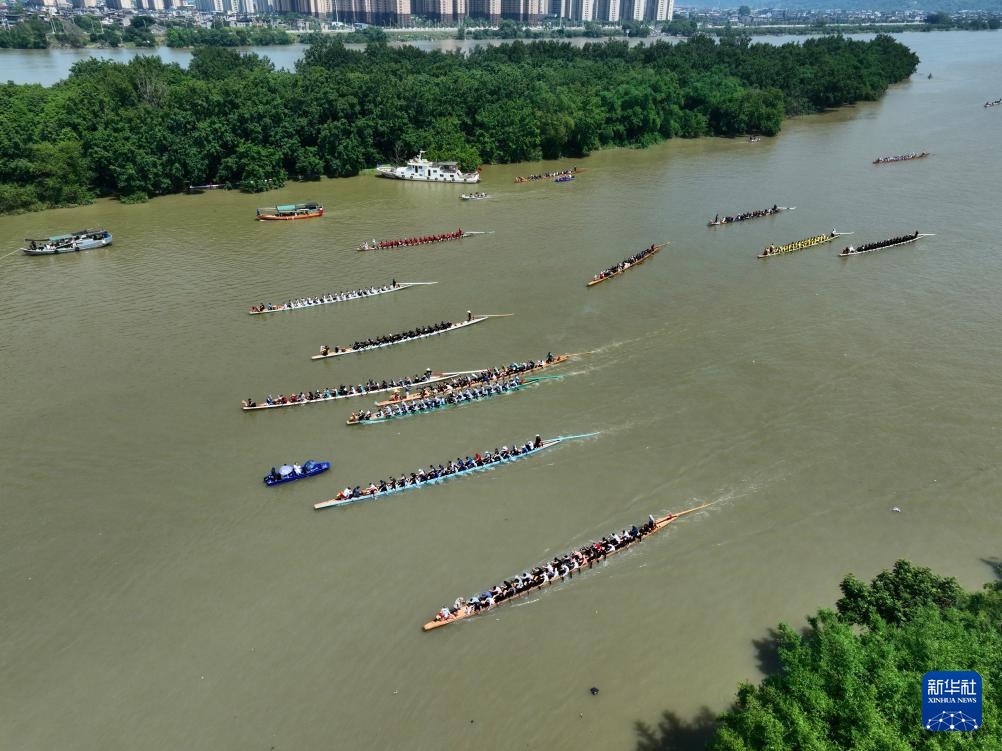 福建闽侯:赛龙舟 庆端午 福建闽侯:赛龙舟 庆端午