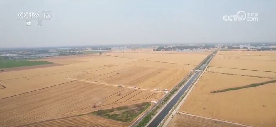 “三夏”小麦机收全面展开 智慧气象“抢”出麦收“加速度” “三夏”小麦机收全面展开 智慧气象“抢”出麦收“加速度”