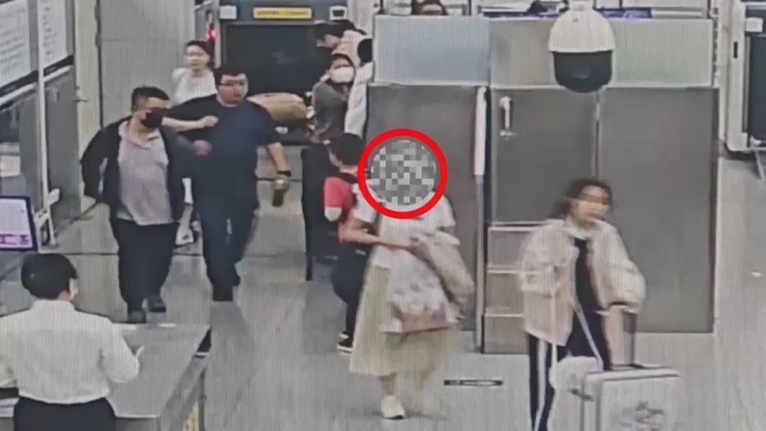 紧身裤藏30只活体陆龟!女子过关被查 紧身裤藏30只活体陆龟!女子过关被查