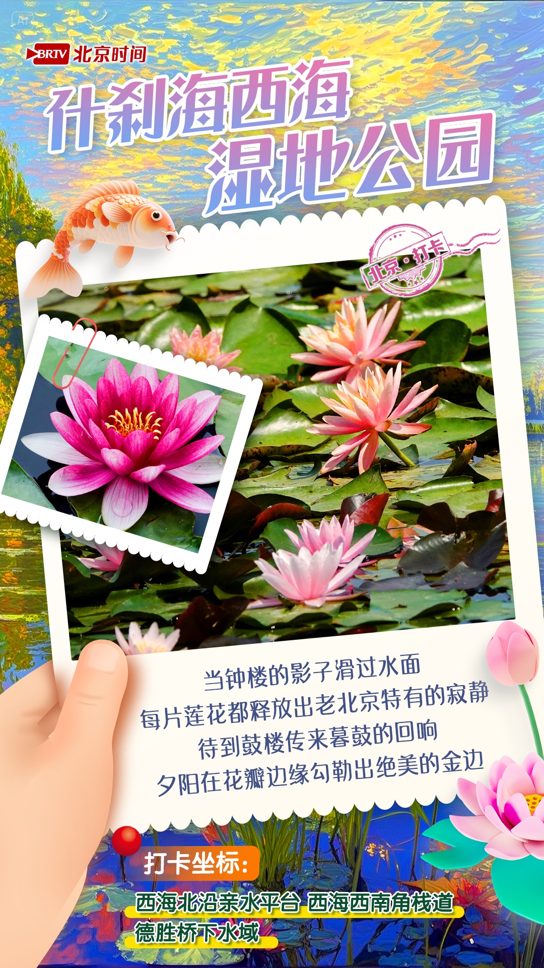 夏日限定!京城6大“莫奈花园”打卡指南来了 夏日限定!京城6大“莫奈花园”打卡指南来了