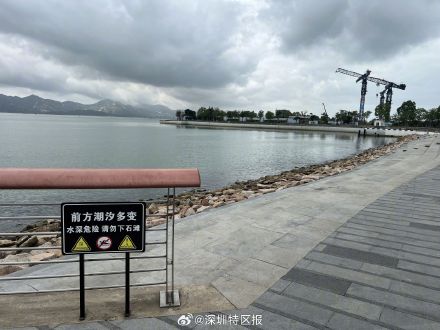 记者直击深圳湾 今日并未出现大潮 记者直击深圳湾 今日并未出现大潮