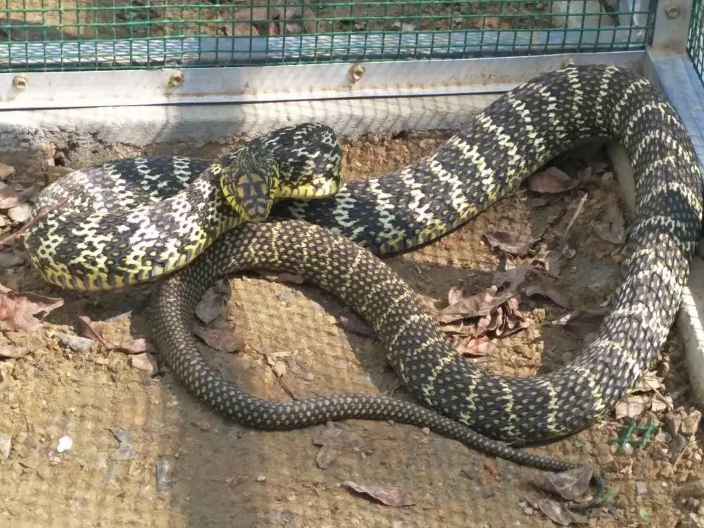 惊呆!浙江男子洗衣机异响,打开被“吓晕”!汗毛直立! 惊呆!浙江男子洗衣机异响,打开被“吓晕”!汗毛直立!