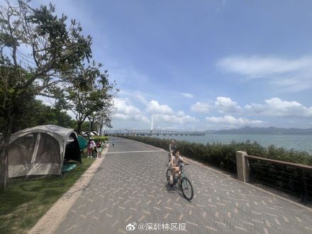 记者直击深圳湾 今日并未出现大潮 记者直击深圳湾 今日并未出现大潮