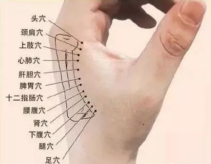这根骨头上没有赘肉，说明你很健康！