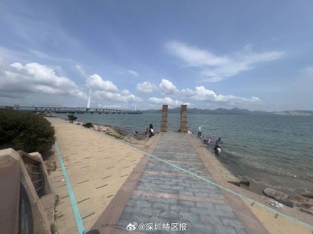 记者直击深圳湾 今日并未出现大潮 记者直击深圳湾 今日并未出现大潮