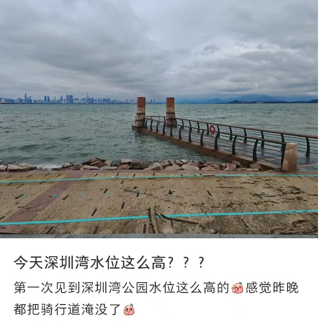 “深圳湾栈道被淹了！”水位高涨，重要提醒→