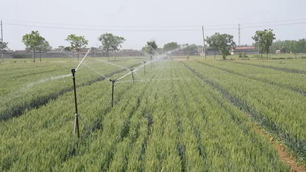 山西部分村镇村民反映,浇地水费过高?记者展开调查→ 山西部分村镇村民反映,浇地水费过高?记者展开调查→