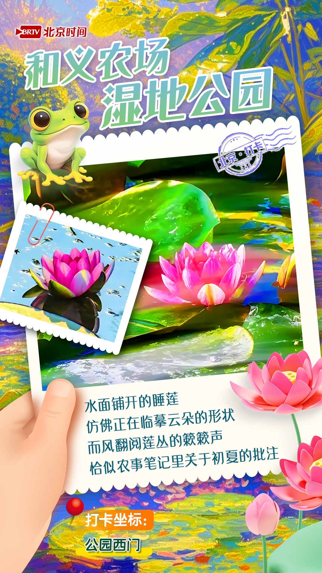 夏日限定!京城6大“莫奈花园”打卡指南来了 夏日限定!京城6大“莫奈花园”打卡指南来了