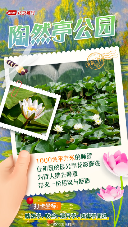 夏日限定!京城6大“莫奈花园”打卡指南来了 夏日限定!京城6大“莫奈花园”打卡指南来了
