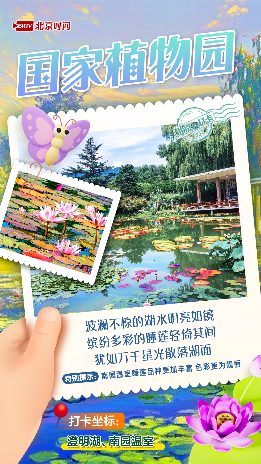 夏日限定!京城6大“莫奈花园”打卡指南来了 夏日限定!京城6大“莫奈花园”打卡指南来了