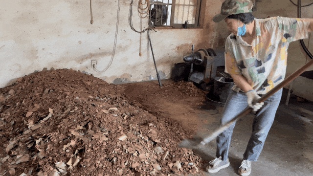 新货上市,不少杭州人餐餐都吃!浑身都是宝,有老板提前一年订下6吨 新货上市,不少杭州人餐餐都吃!浑身都是宝,有老板提前一年订下6吨