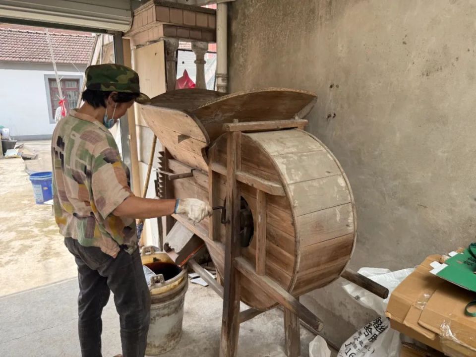 新货上市,不少杭州人餐餐都吃!浑身都是宝,有老板提前一年订下6吨 新货上市,不少杭州人餐餐都吃!浑身都是宝,有老板提前一年订下6吨