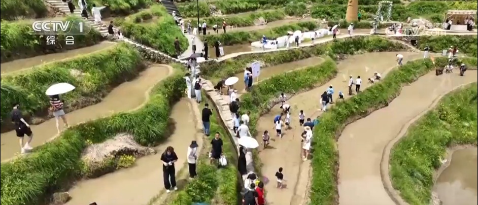 “龙舟+”、诗画民俗……“热气腾腾”的端午假期助力各地节日消费亮点纷呈