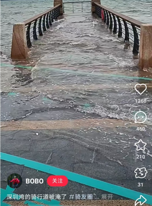 “深圳湾栈道被淹了！”水位高涨，重要提醒→