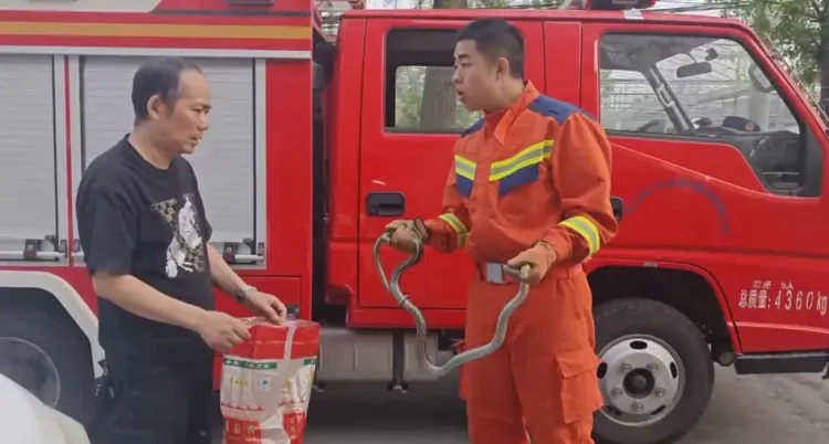 惊呆!浙江男子洗衣机异响,打开被“吓晕”!一条大蛇藏在内 惊呆!浙江男子洗衣机异响,打开被“吓晕”!一条大蛇藏在内