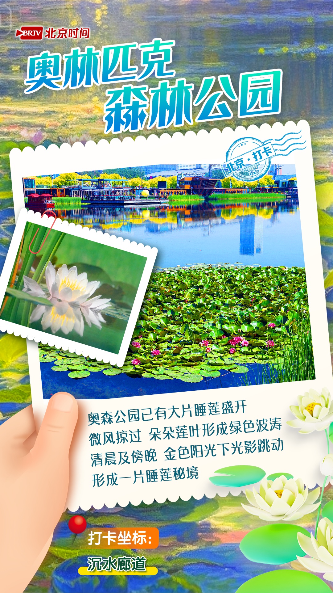 夏日限定!京城6大“莫奈花园”打卡指南来了 夏日限定!京城6大“莫奈花园”打卡指南来了